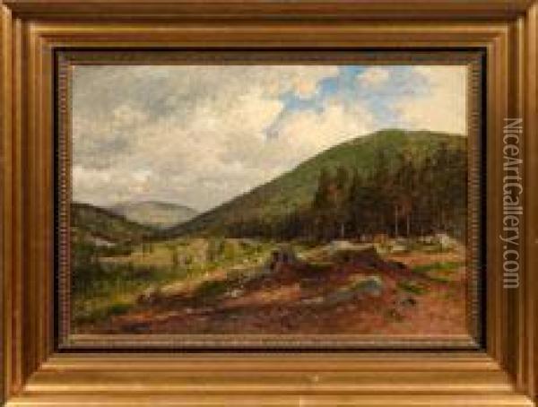 Sommerliche Harzlandschaft Oil Painting - Wilhelm J. August Nabert