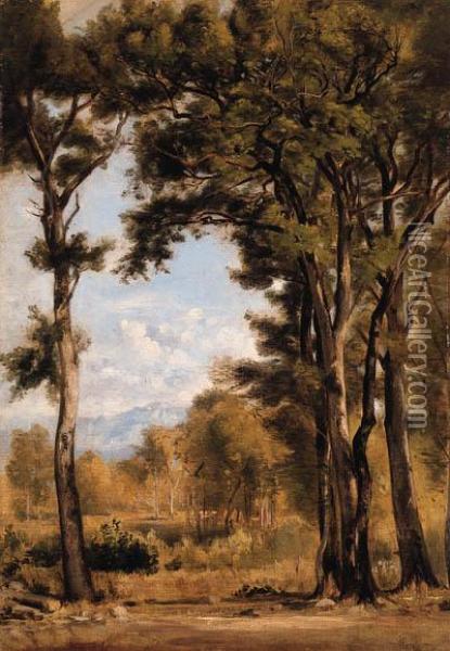 Ausblick Aus Einer Waldlichtung Oil Painting - Barthelemy Menn