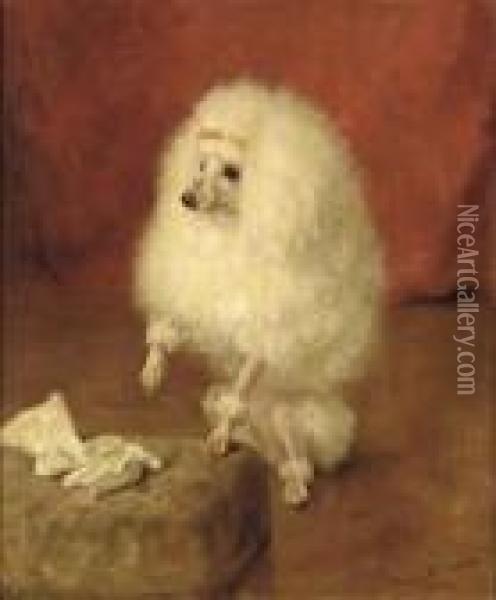 Portrait Of A Poodle Oil Painting - Frances C. Fairman
