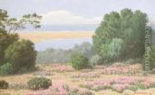 Sand-vygies, Stillbay, Riversdale Oil Painting - Jan Ernst Abraham Volschenk
