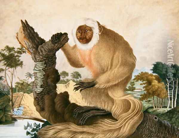 The Saki Monkey, 1835 Oil Painting - Aloys Zotl