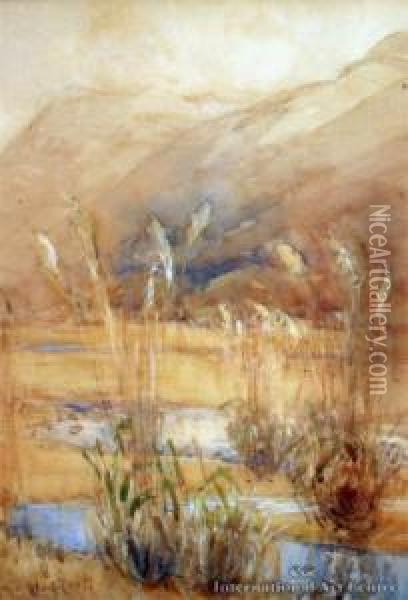 Teremakau Valley Oil Painting - Margaret Olrog Stoddart