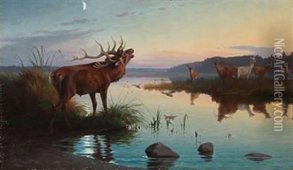 Evening Atmosphere At A Forest Lake With Roaring Stag Oil Painting - Adolf Heinrich Mackeprang