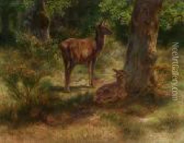 Deer And Fawn In A Wood Oil Painting - Rosa Bonheur