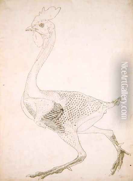 Study of a Fowl, Lateral View, from A Comparative Anatomical Exposition of the Structure of the Human Body with that of a Tiger and a Common Fowl, 1795-1806 6 Oil Painting - George Stubbs
