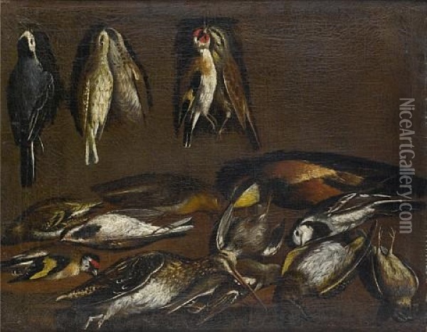 Dead Pied Wagtails, Goldfinches And Other Birds Hanging On A Wall Oil Painting - Jacob van der Kerckhoven