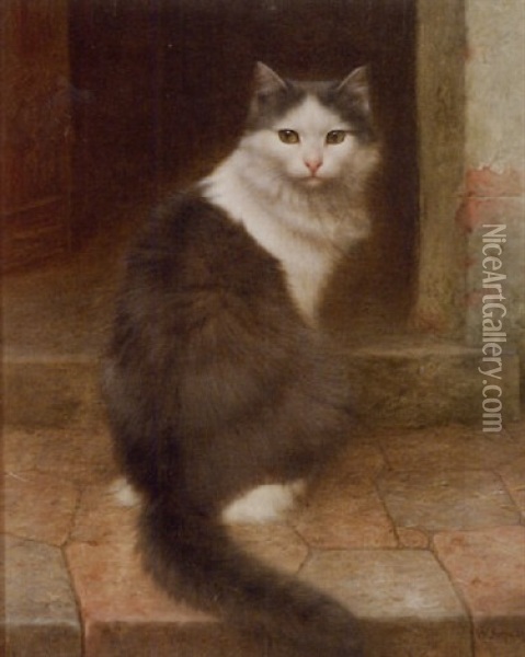 On The Stoop, Gray And White Cat Oil Painting - Wilhelm Schwar