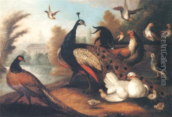 Exotic Fowl By A Lake In A Landscape Oil Painting - Marmaduke Cradock