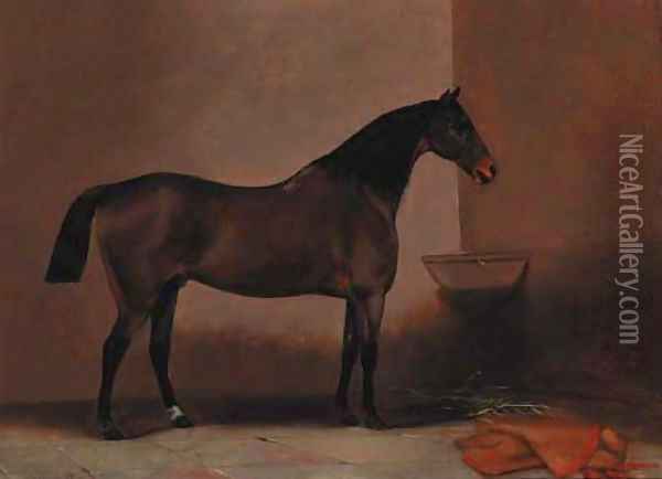 A bay hunter in a stable Oil Painting - G. W. Miller