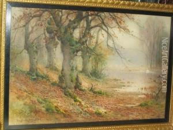 A Woodland River Oil Painting - Thomas Tayler Ireland
