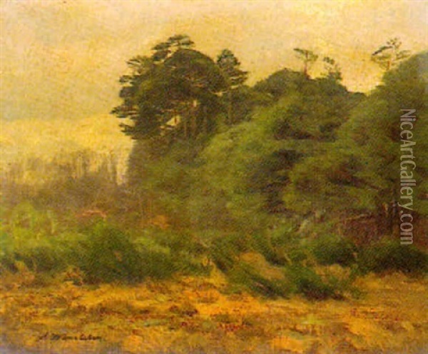 Sturmische Landschaft Oil Painting - Arthur Wansleben