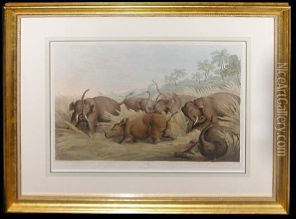 A Rhinoceros Hunted By Elephants Oil Painting - Samuel Howitt