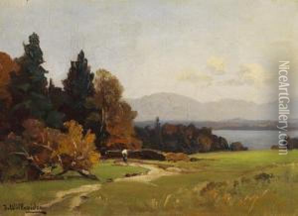 Blick Auf Den Starnberger See Oil Painting - Josef Willroider