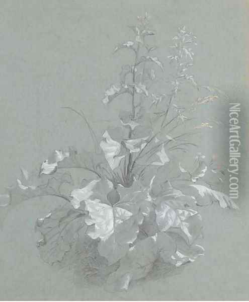 Study of wild flowers Oil Painting - Jan The Younger Weenix