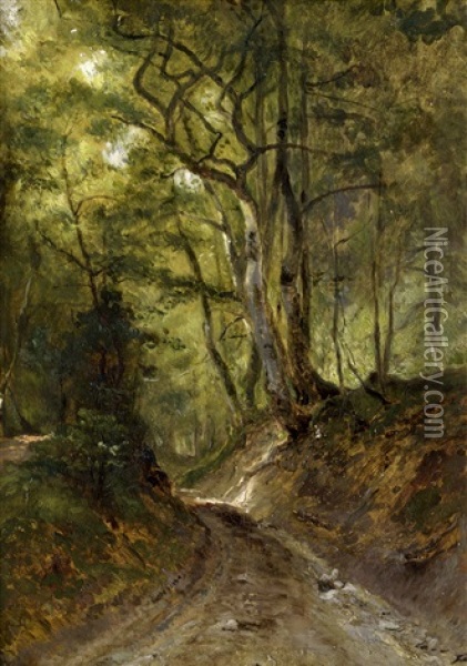 Sonnenbeschienener Waldweg Oil Painting - Dietrich Langko