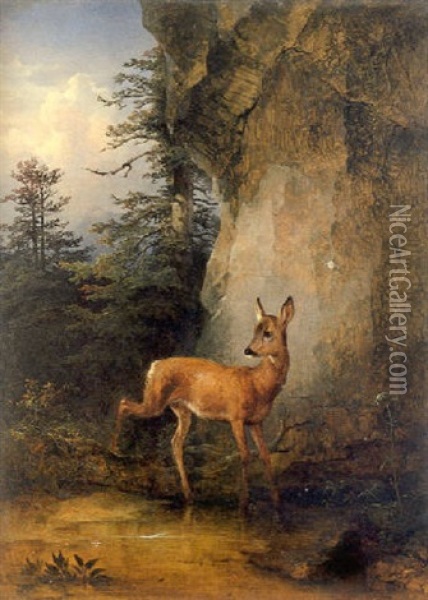 Ein Reh Bei Der Quelle Oil Painting - Friedrich Gauermann