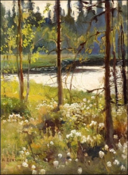 Haikon Metsalampi Oil Painting - Albert Edelfelt