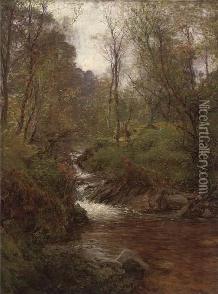 A Wooded Stream Oil Painting - Alexander Brownlie Docharty