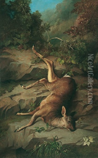 Dead Hind Oil Painting - John Bucknell Russell