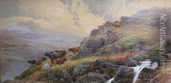 Cattle On A Dartmoor Tor Oil Painting - Thomas, Tom Rowden