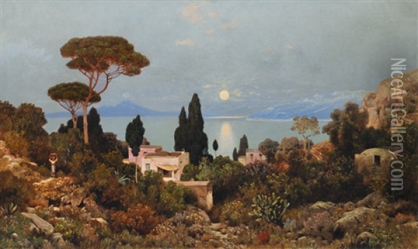 View From Capri On Mount Vesuvius Oil Painting - Edmund Berninger