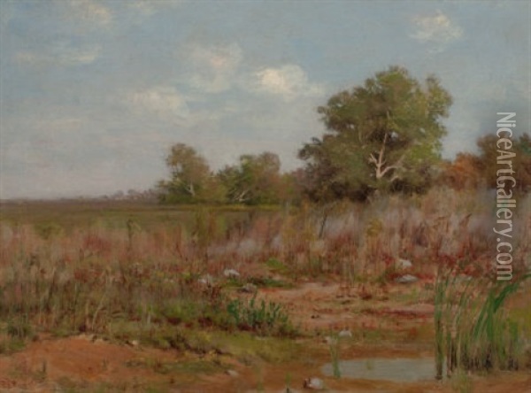 Edge Of A Marsh Oil Painting - Peter Edward Rudell