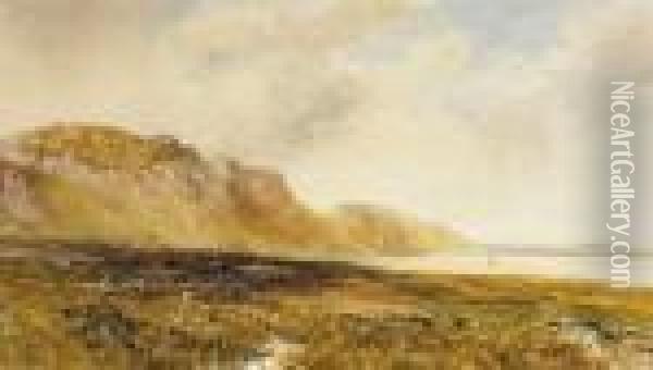 In The Glen Oil Painting - William Bingham McGuinness