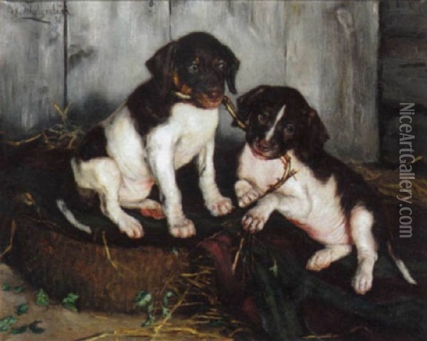 Puppies At Play Oil Painting - Ida Eleonora de Schulzenheim