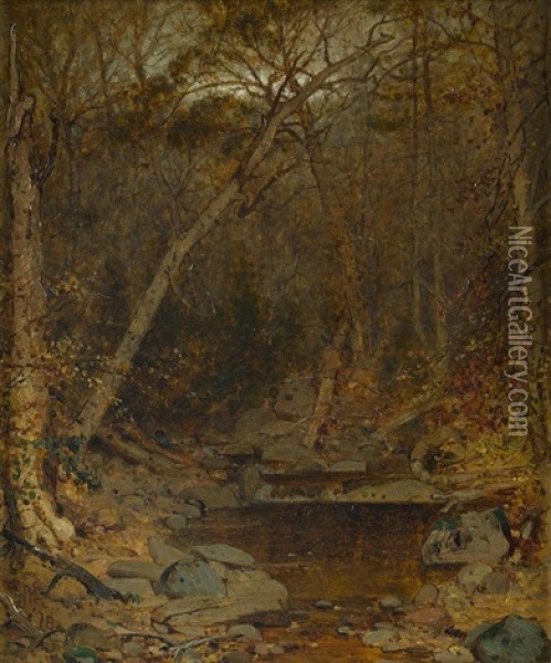 Untitled (stream In The Woods) Oil Painting - Jervis McEntee