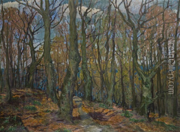 Autumn Forest Oil Painting - Antonin Hudecek