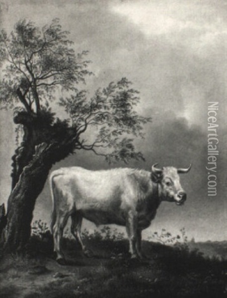 White Bull Standing By A Tree In A Landscape Oil Painting - Paulus Potter