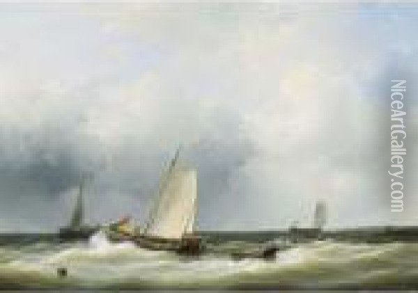 Seascape With Fishing Boats Oil Painting - Abraham Hulk Jun.