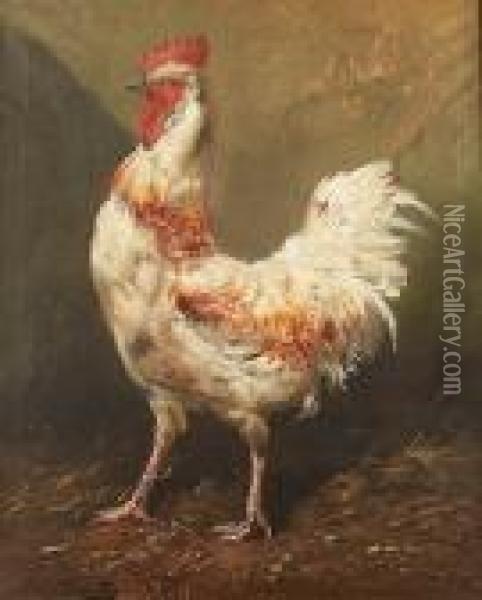 A Turkey; A Cockerel Oil Painting - Henry Schouten