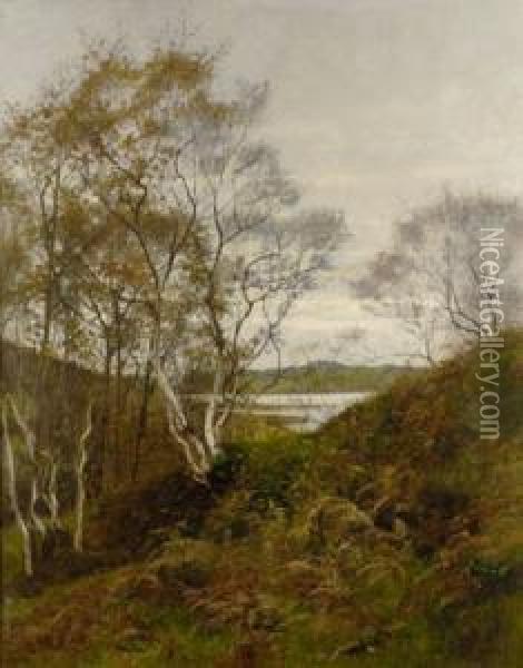 View Of A Lake Through Trees Oil Painting - Aloysius C. O'Kelly