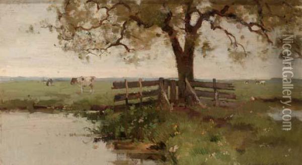 A Flowering Meadow Oil Painting - Cornelis Vreedenburgh