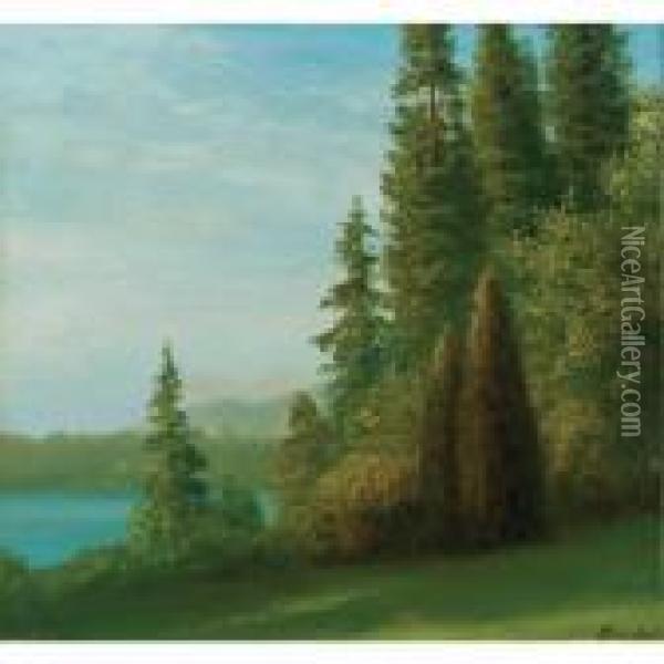 Landscape With Trees And Lake Oil Painting - Albert Bierstadt