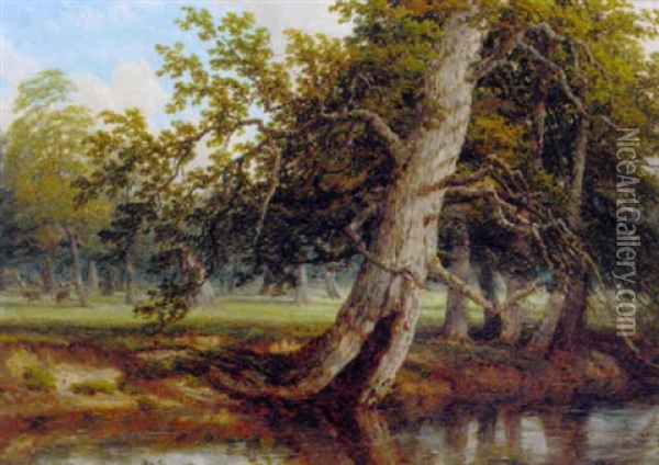A Sunlit Wooded River Landscape Oil Painting - Thomas Baker