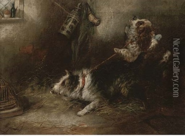 A Terrier And Spaniel Ratting Oil Painting - Edward Armfield