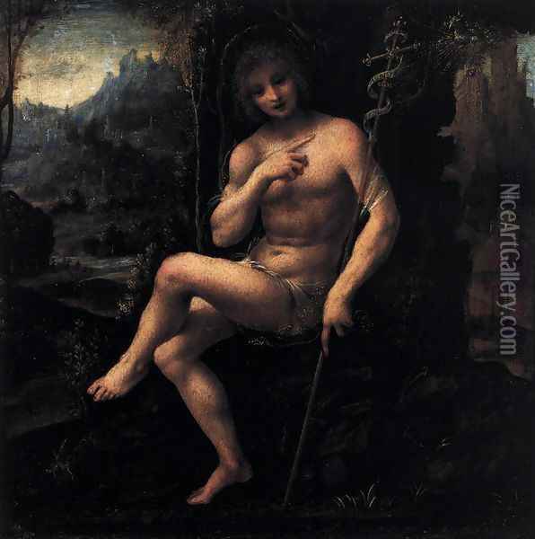 St John the Baptist in the Wilderness Oil Painting - Bernardino Lanino