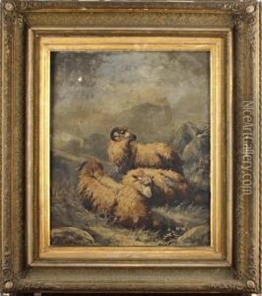 Highland Sheep Oil Painting - John Morris