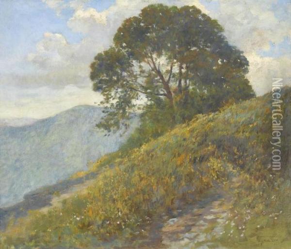 Fruhlingswiese Am Berghang Oil Painting - Gioachimo Galbusera