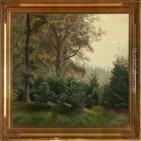 Autumn Forest Scenefrom Hojbjergskov, Denmark Oil Painting - Otto Petersen Balle