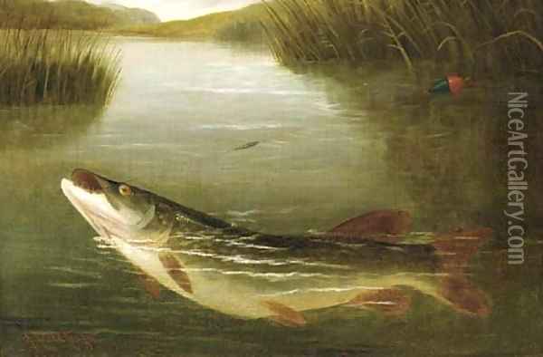 A pike on a line Oil Painting - A. Roland Knight