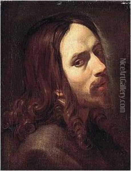 A Study Of A Bearded Man, Head And Shoulders Oil Painting - Aubin Vouet
