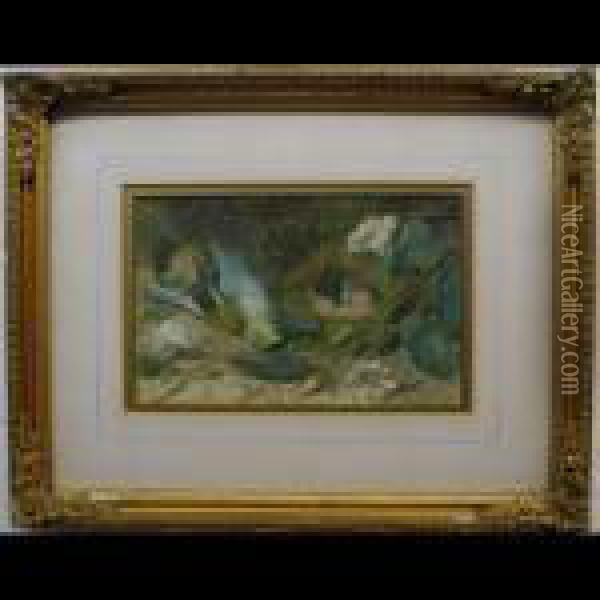 Still Life Studies (dead Birds By Nests) Oil Painting - William Cruickshank