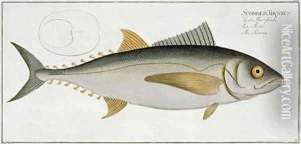 Tuna Scomber Thynnus Oil Painting - Andreas-Ludwig Kruger