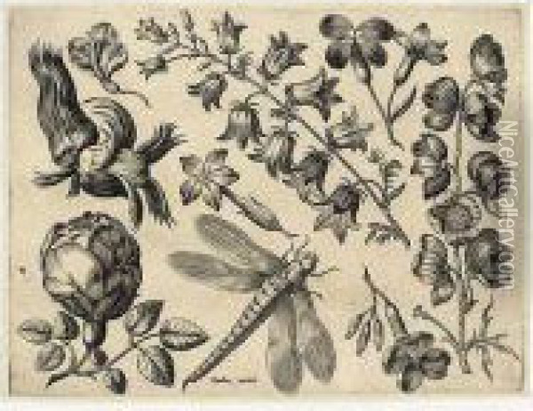 Florae Deae Inter Patrios & 
Exoticos Flores Sedentis Artificiosa Delineatio (not In Hollstein) Oil Painting - Adriaen Collaert