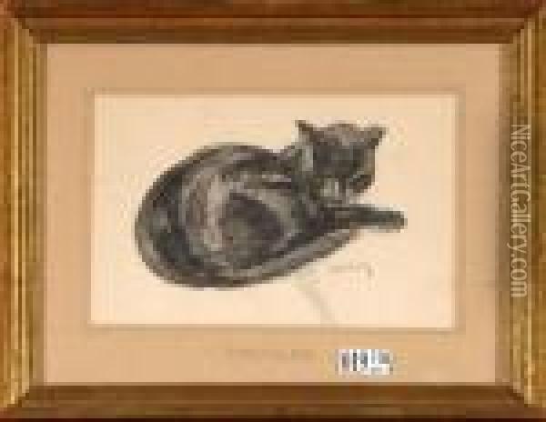 Chat Endormi Oil Painting - Theophile Alexandre Steinlen