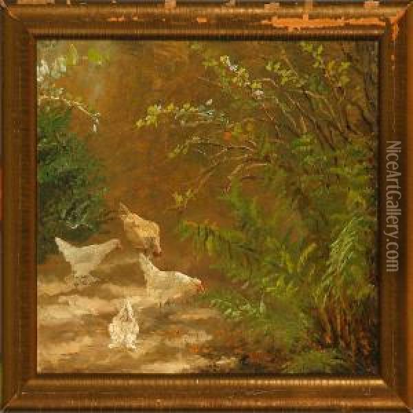 Chicken In A Garden Oil Painting - Anthonie, Anthonore Christensen