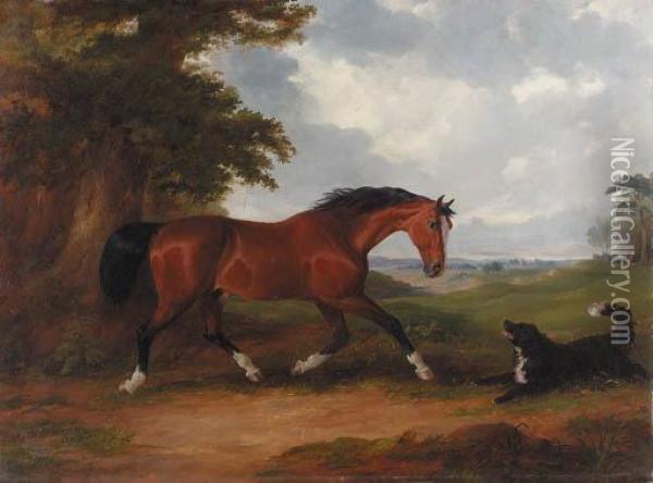 A Bay Hunter And A Spaniel In A Wooded Landscape Oil Painting - Joseph Maiden